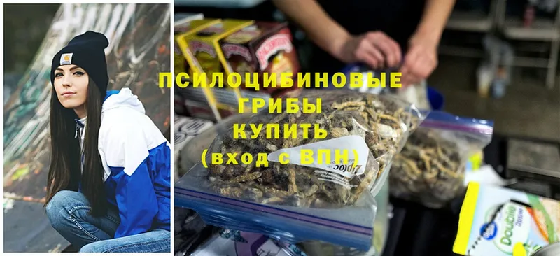 mega как зайти  Грязовец  сайты даркнета клад  Псилоцибиновые грибы Psilocybine cubensis 